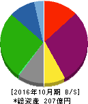 ケア21 貸借対照表 2016年10月期 ケア21 貸借対照表 2016年10月期