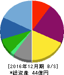 ソフトマックス 貸借対照表 2016年12月期 ソフトマックス 貸借対照表 2016年12月期