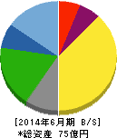東洋ドライルーブ 貸借対照表 2014年6月期 東洋ドライルーブ 貸借対照表 2014年6月期