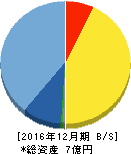 シルバーエッグ・テクノロジー 貸借対照表 2016年12月期 シルバーエッグ・テクノロジー 貸借対照表 2016年12月期
