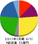 ジャニス工業 貸借対照表 2017年3月期 ジャニス工業 貸借対照表 2017年3月期