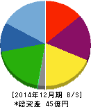 ソフトマックス 貸借対照表 2014年12月期 ソフトマックス 貸借対照表 2014年12月期