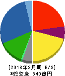 丸山製作所 貸借対照表 2016年9月期 丸山製作所 貸借対照表 2016年9月期