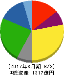 特種東海製紙 貸借対照表 2017年3月期 特種東海製紙 貸借対照表 2017年3月期