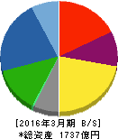 大日精化工業 貸借対照表 2016年3月期 大日精化工業 貸借対照表 2016年3月期