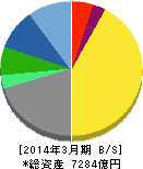 大正製薬ホールディングス 貸借対照表 2014年3月期 大正製薬ホールディングス 貸借対照表 2014年3月期