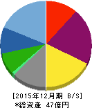 ソフトマックス 貸借対照表 2015年12月期 ソフトマックス 貸借対照表 2015年12月期
