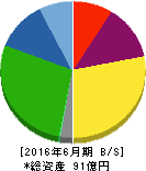 オーネックス 貸借対照表 2016年6月期 オーネックス 貸借対照表 2016年6月期