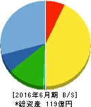 ペプチドリーム 貸借対照表 2016年6月期 ペプチドリーム 貸借対照表 2016年6月期