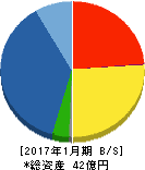 ベステラ 貸借対照表 2017年1月期 ベステラ 貸借対照表 2017年1月期