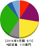 グローバルグループ 貸借対照表 2016年9月期 グローバルグループ 貸借対照表 2016年9月期
