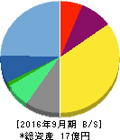 メドピア 貸借対照表 2016年9月期 メドピア 貸借対照表 2016年9月期