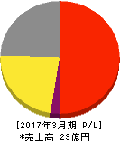 ソーシャルワイヤー 損益計算書 2017年3月期 ソーシャルワイヤー 損益計算書 2017年3月期