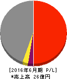 アドベンチャー 損益計算書 2016年6月期 アドベンチャー 損益計算書 2016年6月期