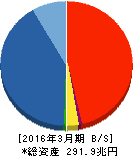 日本郵政 貸借対照表 2016年3月期 日本郵政 貸借対照表 2016年3月期