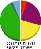 パラカ 貸借対照表 2016年9月期 パラカ 貸借対照表 2016年9月期