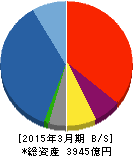 澤田ホールディングス 貸借対照表 2015年3月期 澤田ホールディングス 貸借対照表 2015年3月期