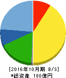 ソフトウェア・サービス 貸借対照表 2016年10月期 ソフトウェア・サービス 貸借対照表 2016年10月期