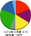 昭和電工 貸借対照表 2014年12月期 昭和電工 貸借対照表 2014年12月期