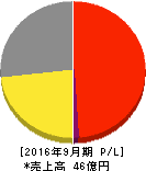 リアルワールド 損益計算書 2016年9月期 リアルワールド 損益計算書 2016年9月期