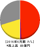 テックファームホールディングス 損益計算書 2016年6月期 テックファームホールディングス 損益計算書 2016年6月期