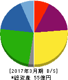 テイン 貸借対照表 2017年3月期 テイン 貸借対照表 2017年3月期