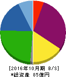 アールエイジ 貸借対照表 2016年10月期 アールエイジ 貸借対照表 2016年10月期