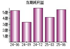 当期純利益
