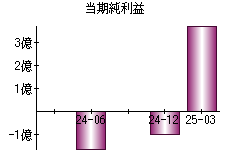 当期純利益