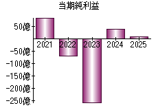 当期純利益
