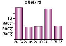 当期純利益