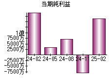 当期純利益
