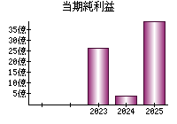 当期純利益