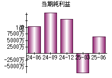 当期純利益