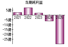 当期純利益