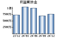 利益剰余金