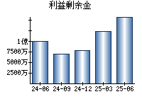 利益剰余金