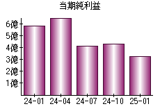 当期純利益