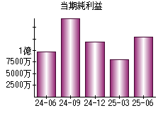当期純利益