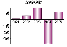 当期純利益