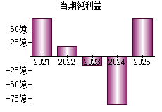 当期純利益