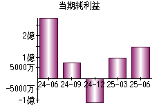 当期純利益