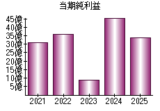 当期純利益