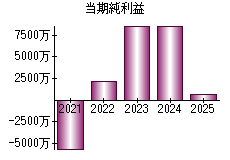 当期純利益