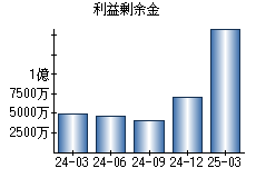 利益剰余金