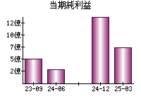 当期純利益