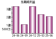 当期純利益
