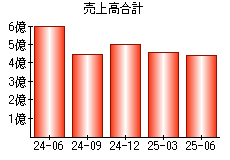 売上高合計