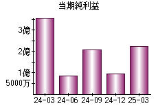 当期純利益