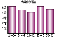 当期純利益